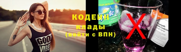 МДПВ Заводоуковск