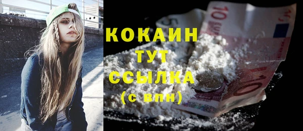 МДПВ Заводоуковск