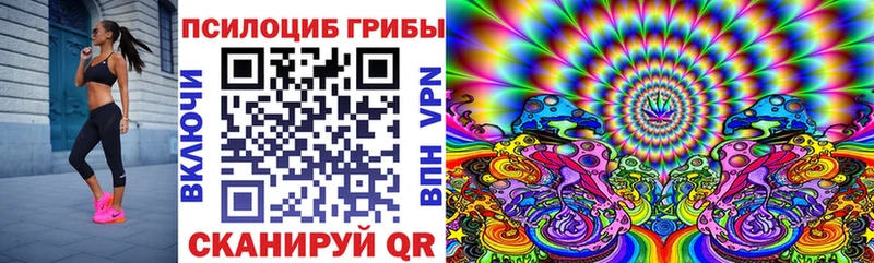Купить где  Вытегра  Галлюциногенные грибы Psilocybine cubensis 